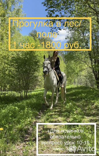 Катание на лошадях, занятия, фотосессии