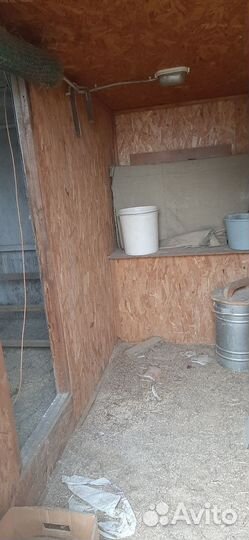 Курятник бу на 25 кур зимний