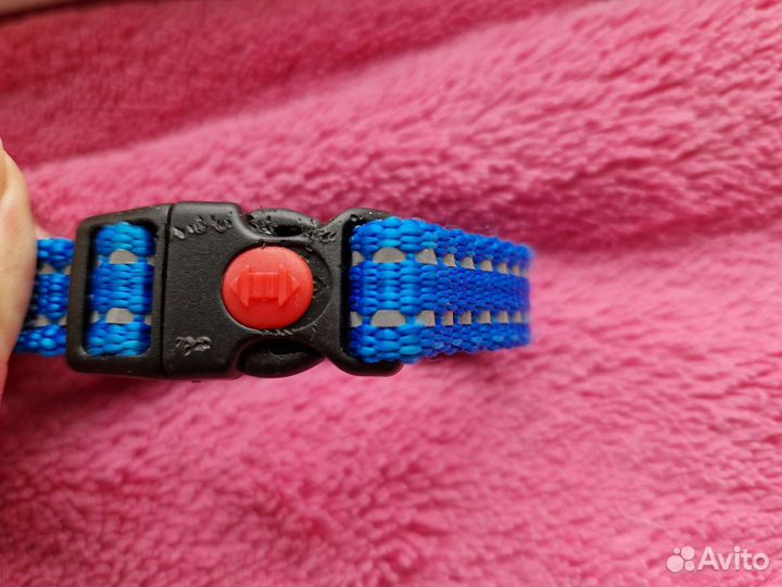 Ошейник для животных