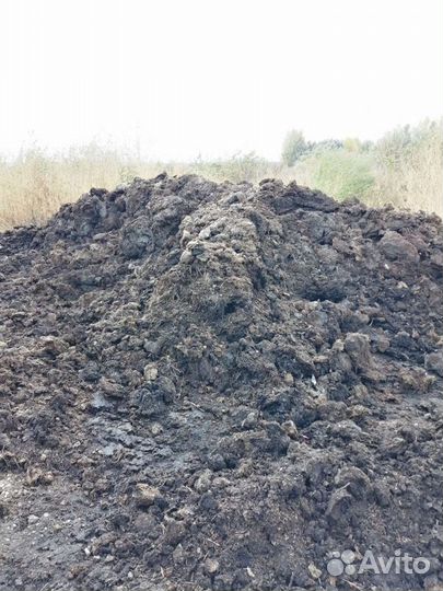 Конский навоз