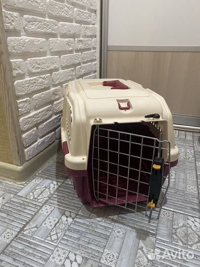 Переноска аренда