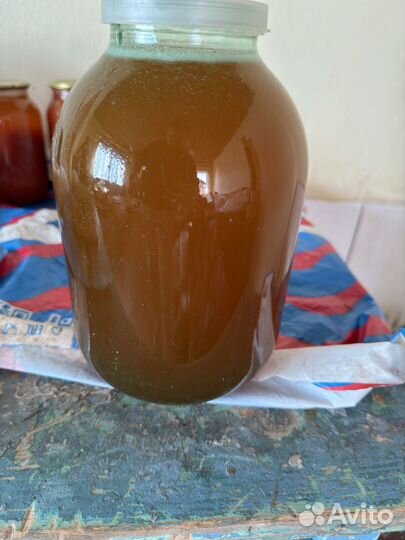 Мед оптом урожай август 2024 цветочный