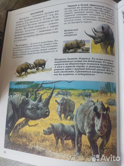 Детская энциклопедия 