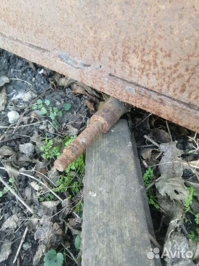 Обмен на ягнят