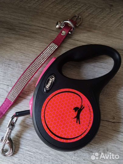 Выгул,передержка собак