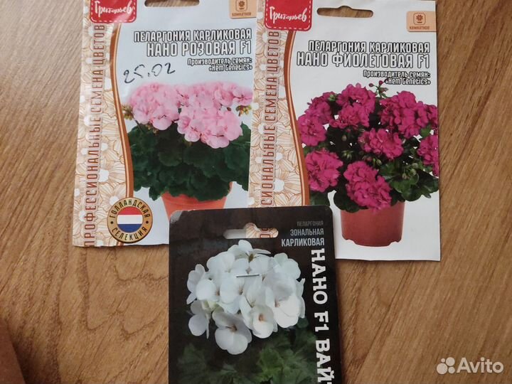 Пеларгония герань сортовая