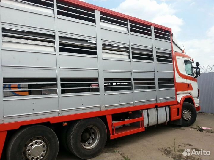 Перевозка животных по России