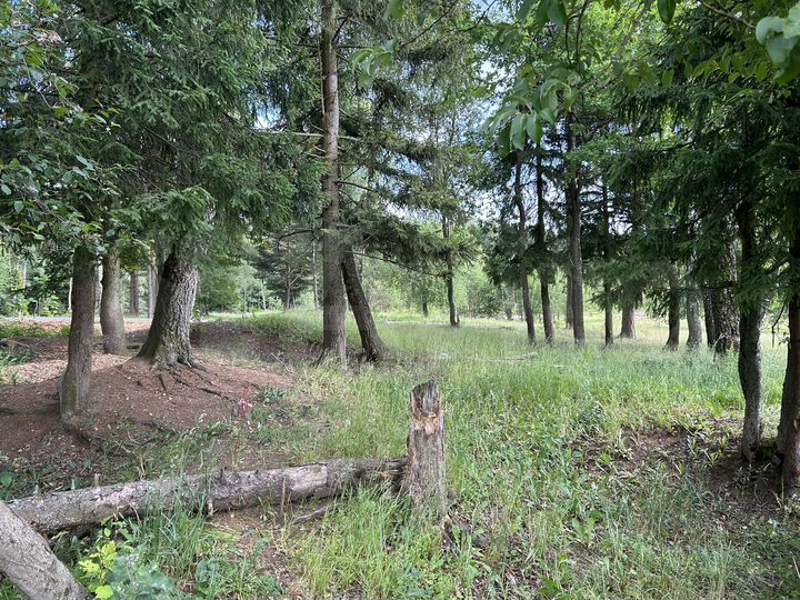 Участок 6 сот. (ИЖС)