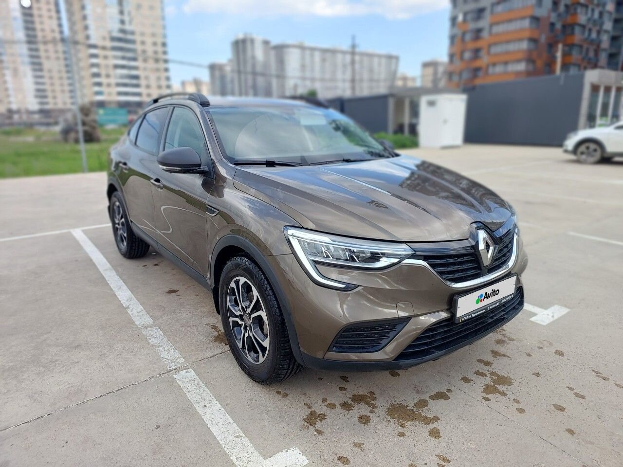 Renault Arkana: фото владельца