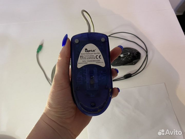 Мышь компьютерная