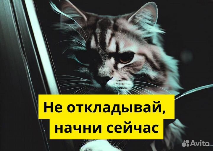 Ваш т/с – ваша работа в Яндекс Go