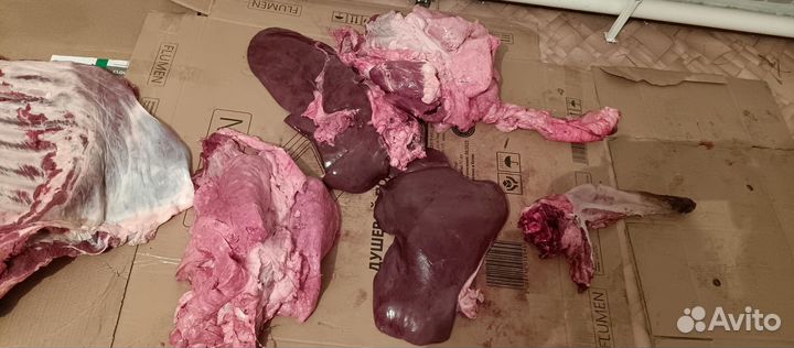 Мясо говядина