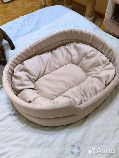 Лежанка для кошек и собак, антивандальная