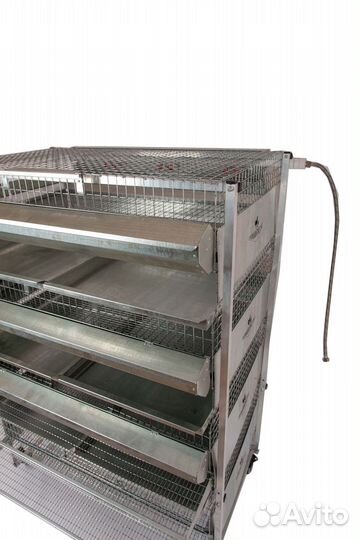 Клетка для перепелов несушек Фермер профи