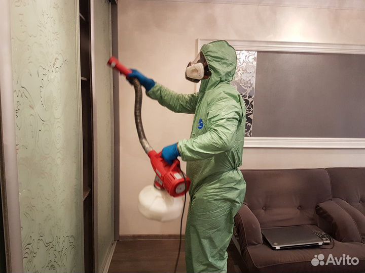 Дезинфекция Дезинсекция Дератизация