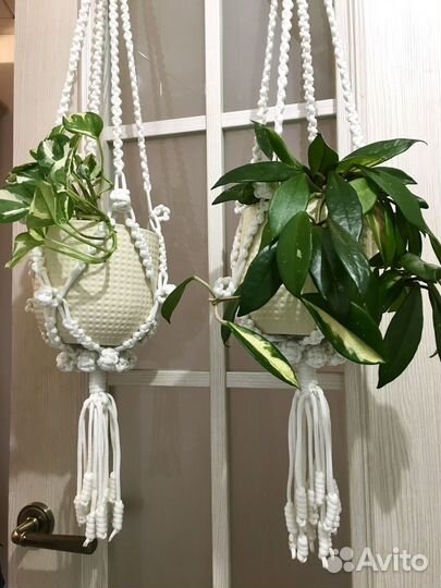 Кашпо макраме ручной работы