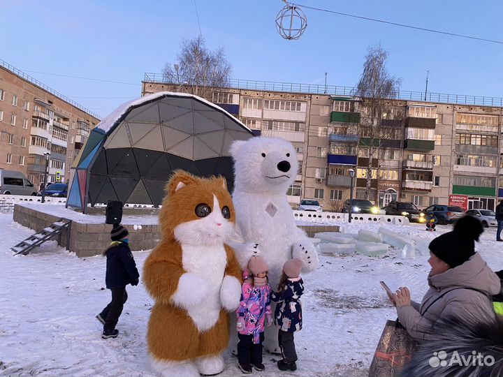 Поздравления от Белого медведя и не только