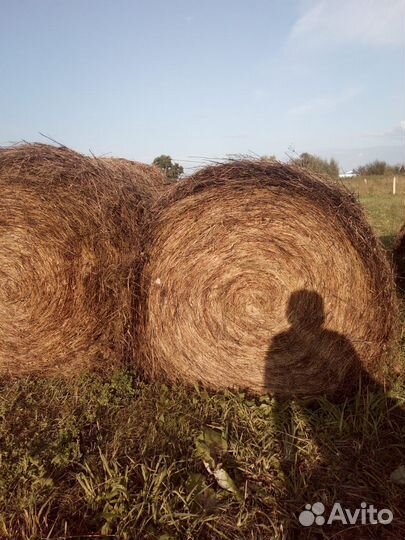 Сено с доставкой, обмен