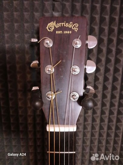 Акустическая гитара morris TF 60.Japan