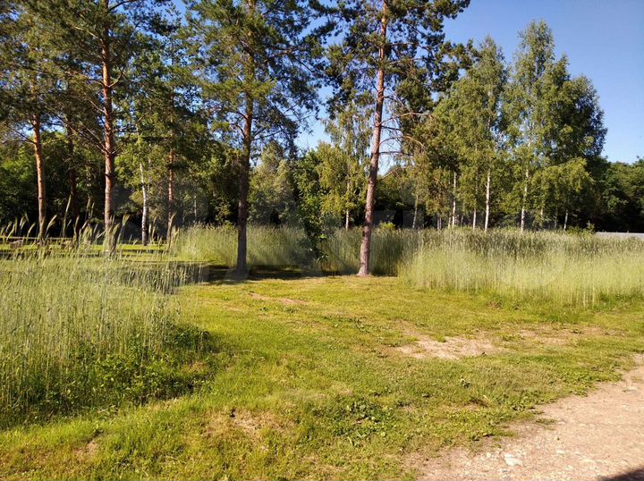 Участок 40 сот. (СНТ, ДНП)