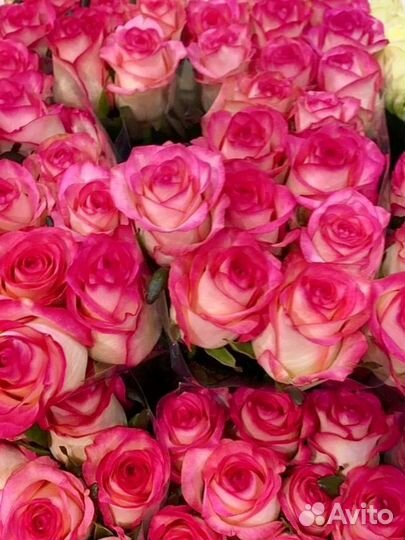 Букет 51 роза