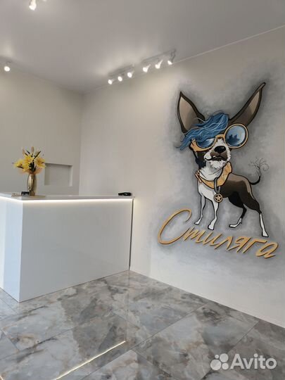 Администратор, помощник грумера