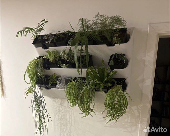 Фитомодуль для растений