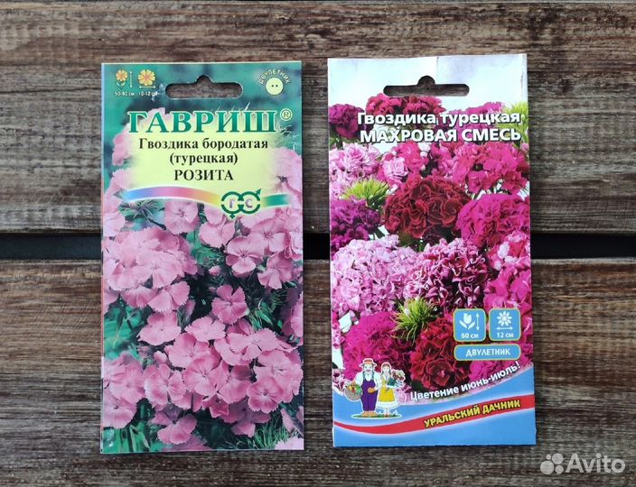 Семена многолетних цветов №2