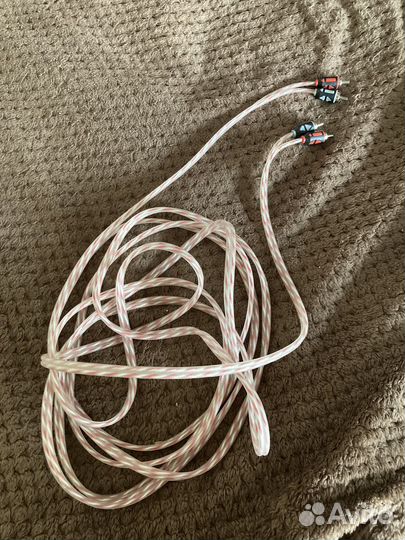 Тюльпаны (rca)