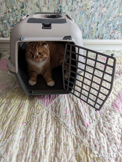 Новая переноска для животных Triol Travel M и L