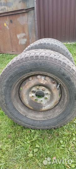 Nokian Tyres Nordman 5 175/70 R13