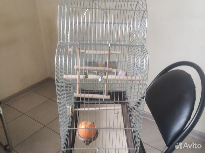 Клетка для попугая