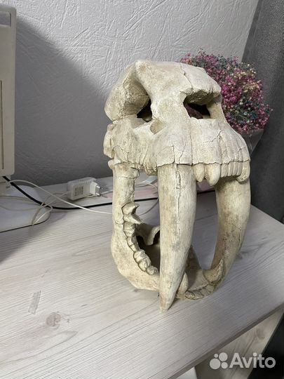 Декорации для аквариума