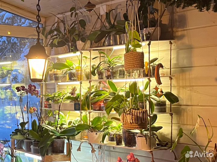 Полки с подсветкой (бронь)