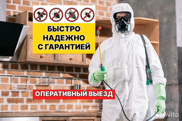 Уничтожение от тараканов, клопов, клещей, муравьев