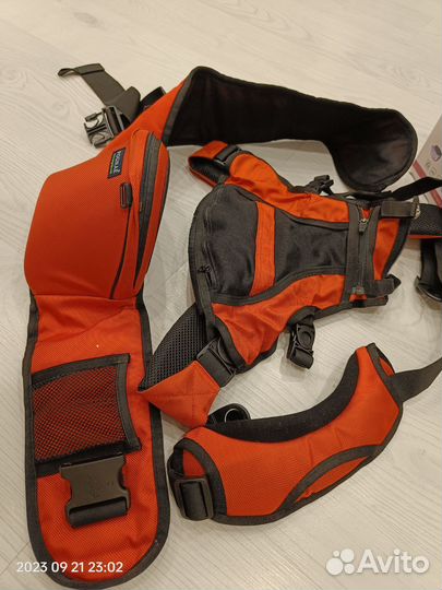 Хипсит Понье (Pognae)