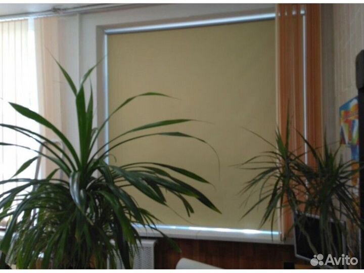 Рулонные шторы J601