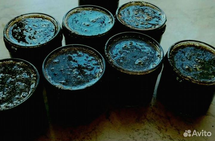 Мужская возбуждающая медовая паста