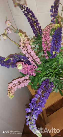 Букет Люпинов