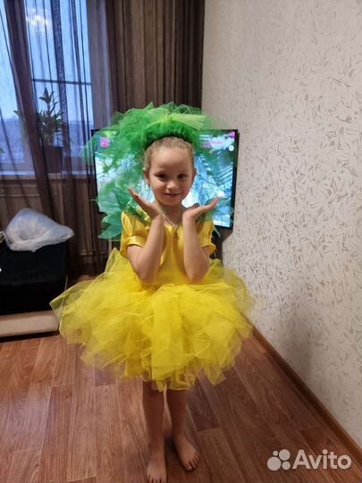 Костюм репки