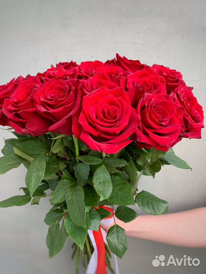 Премиум красные розы Эквадор. Доставка цветов