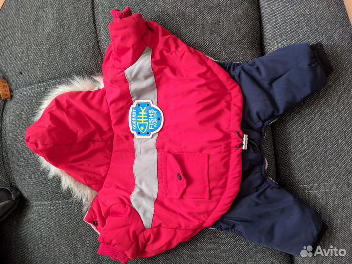 Зимний комбинезон для маленькой собаки