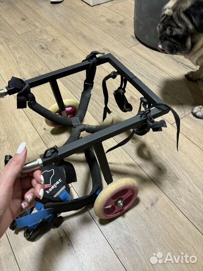 Инвалидная коляска для собак