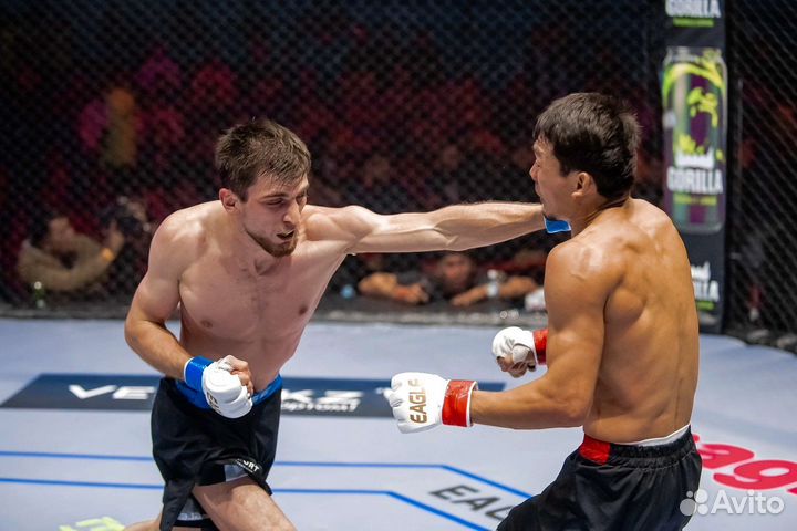 Тренер по Тайскому боксуи мма