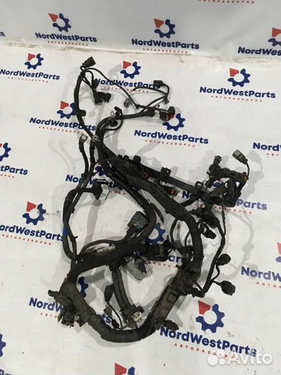 Проводка (коса) Hyundai Santa Fe (Cm) внедорожник