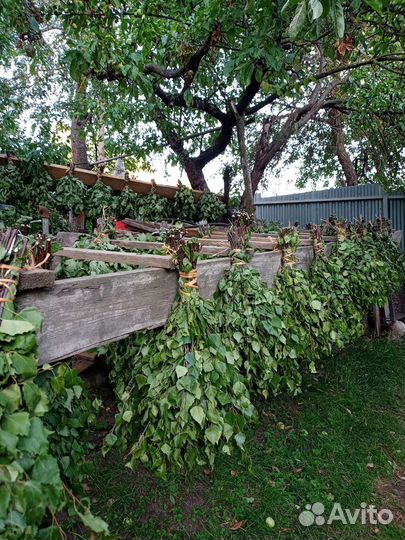 Веники для бани