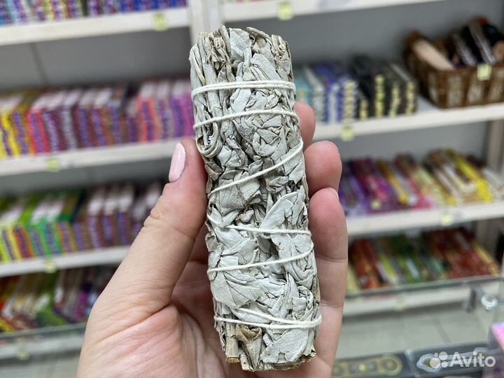 Белый шалфей