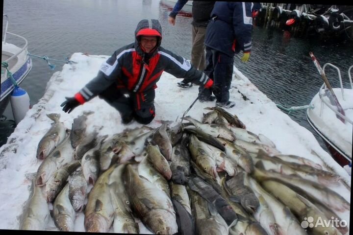 Ищу партнера в бизнес по поставкам рыбы с Камчатки