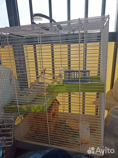 Клетка для хомяка бесплатно