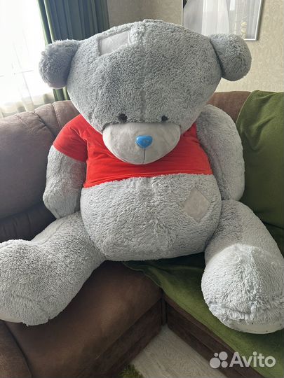 Мишка Тедди